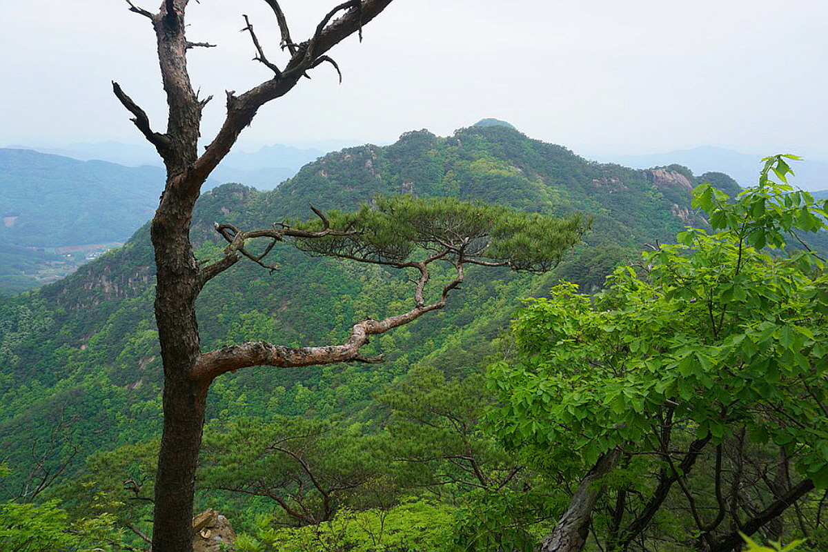 괴산 낙영산