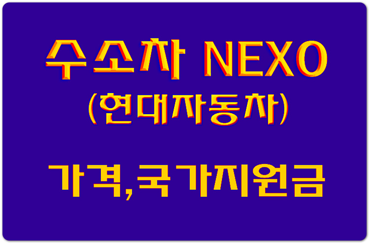  현대자동차 수소차 넥쏘(NEXO) 가격,정부지원금 알아볼게요