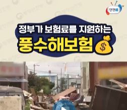  월 약 3천 보험료로 약 1억 5천만원 재산손해 보상 ”풍수해보험“
