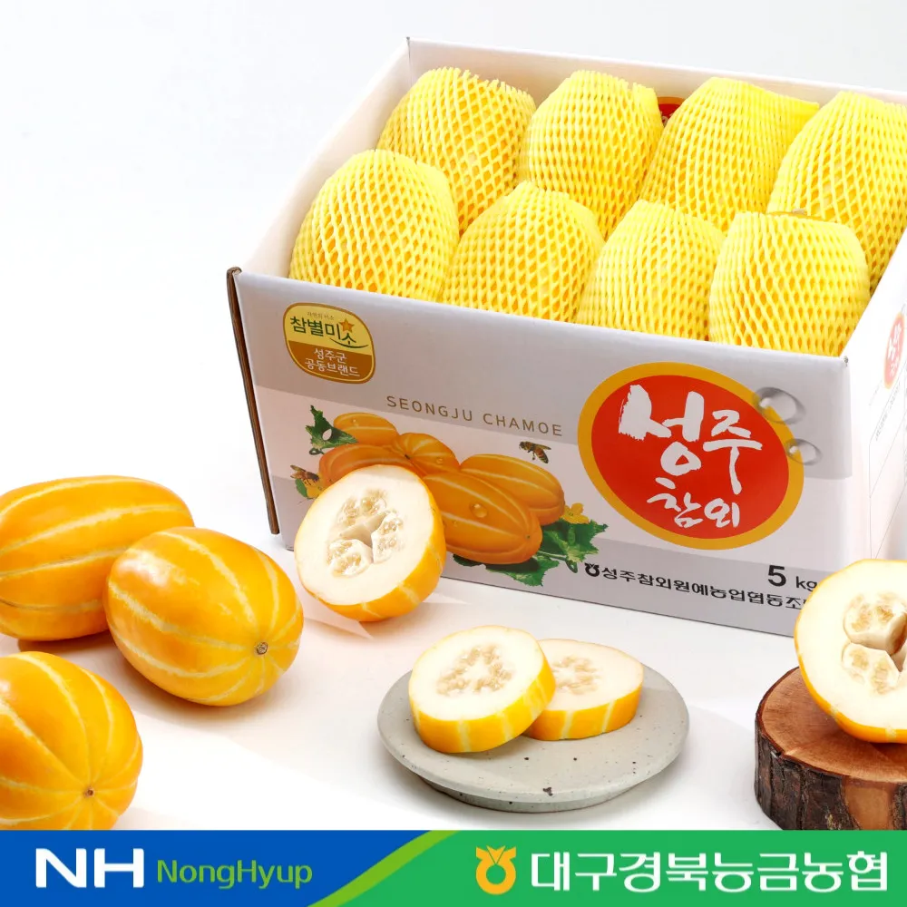 성주 참외 축제 알찬 정보 가요제 행사 일정 완벽 정리_2