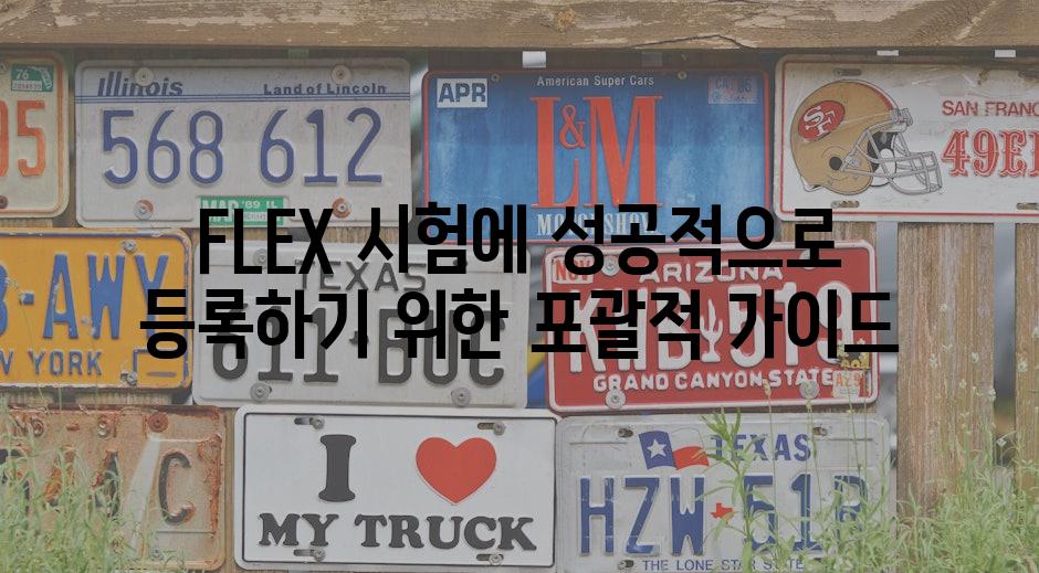 FLEX 시험에 성공적으로 등록하기 위한 포괄적 가이드