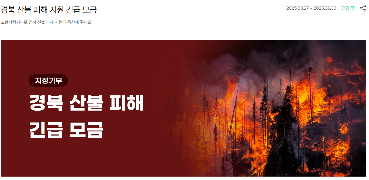역대 최악의 산불, 고향사랑기부제로 산불 피해 지역에 힘을 보태세요