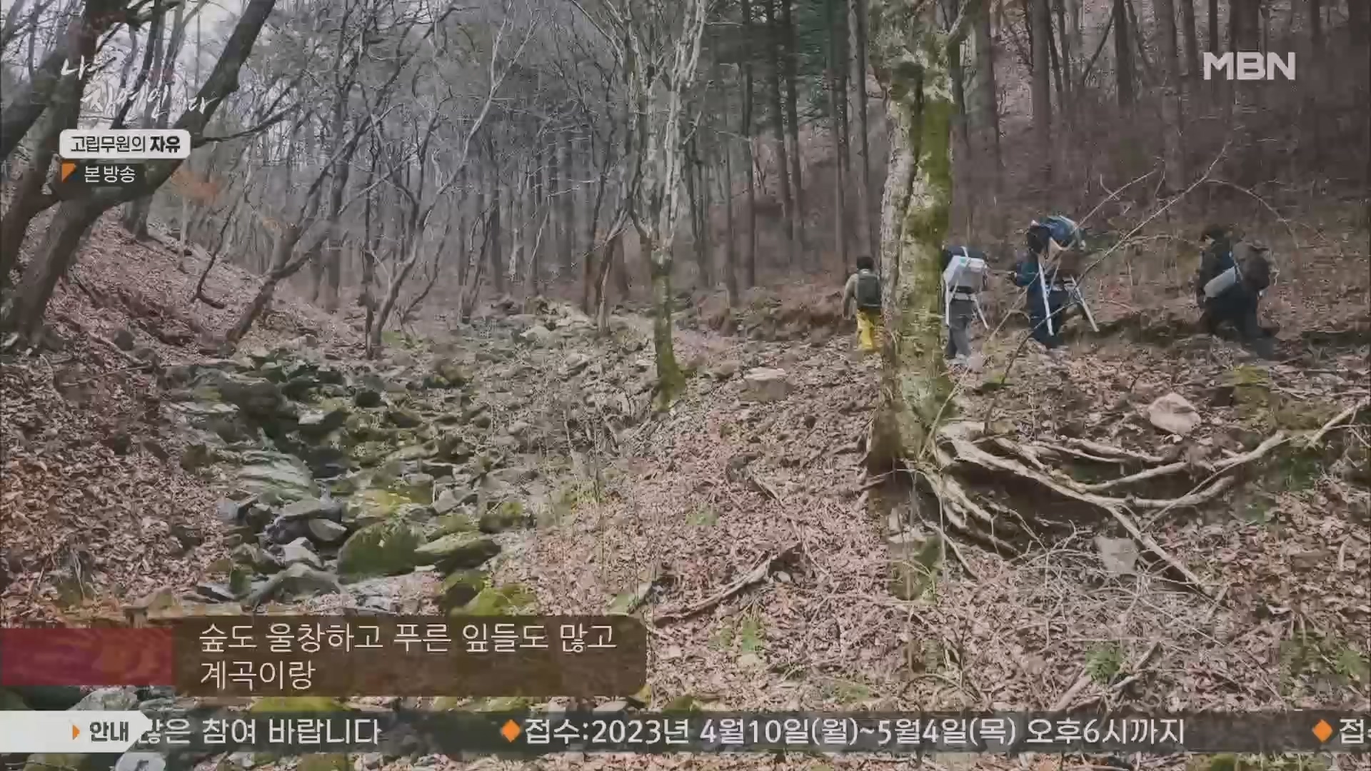나는 자연인이다.E549.230412p.H264-F1RST.mp4_20230413_213149.415.jpg