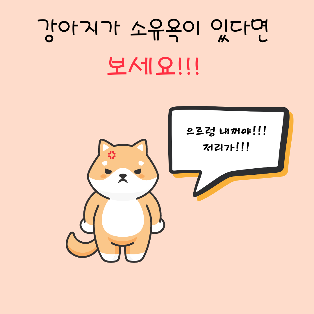  소유욕이 강한 강아지를 키운다면 보세요!