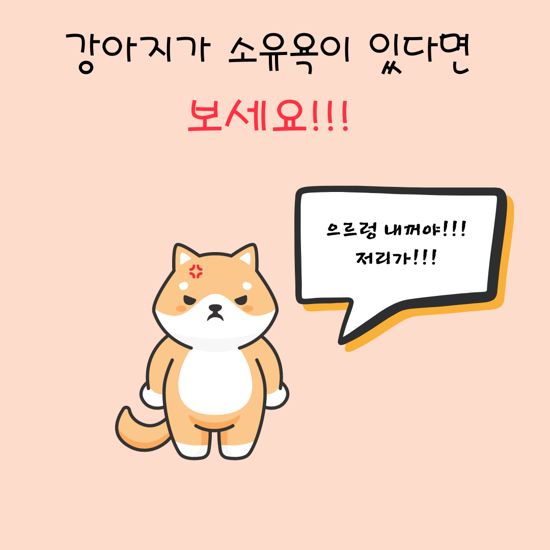 강아지소유욕