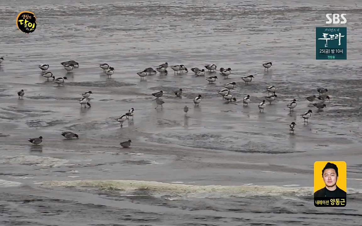 생활의 달인.E835.220322p-NEXT.mp4_20220322_183426.640.jpg