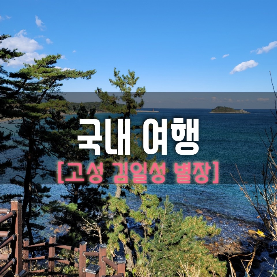  고성 화진포의 성 김일성별장, 오션뷰맛집일세!