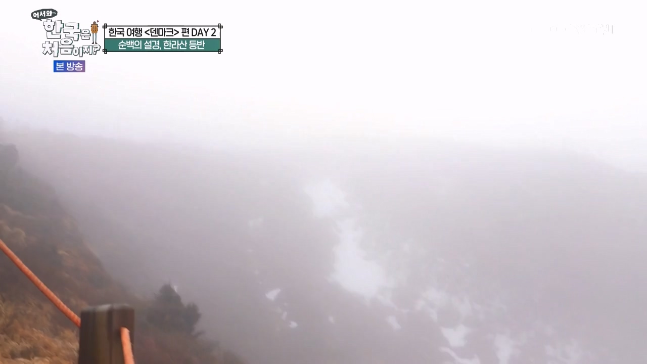 어서와 한국은 처음이지 시즌2.E303.240223p-NEXT.mp4_20240223_212057.410.jpg