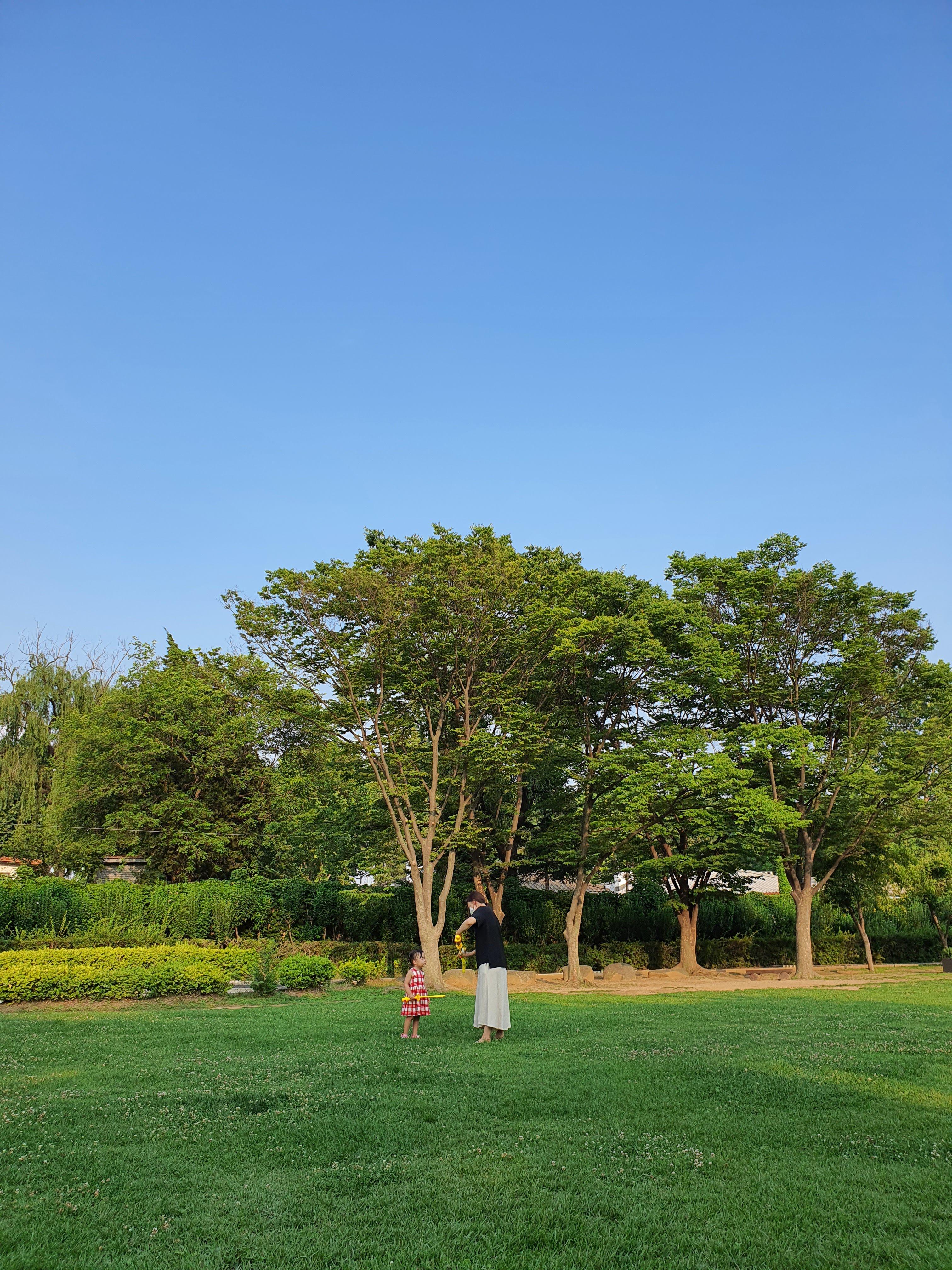  서울 아이와 가볼만한 곳 - 용산가족공원