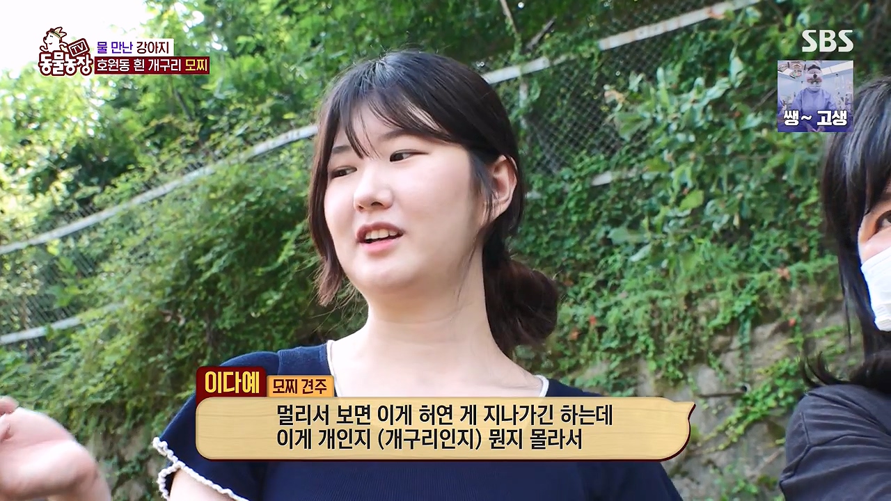 TV 동물농장.E1137.230911p-NEXT.mp4_20230910_174952.250.jpg