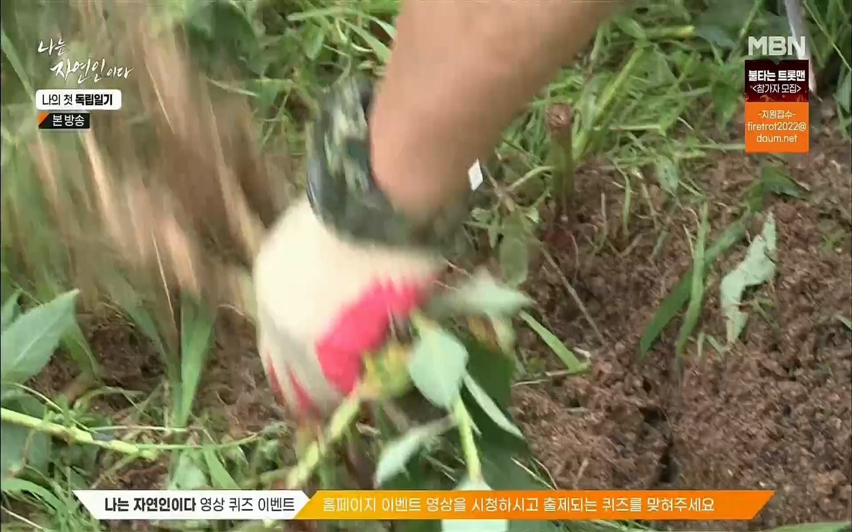 나는 자연인이다.E511.220720p.H264-F1RST.mp4_20220721_201115.276.jpg