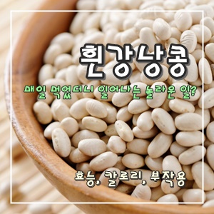 그릇에-담긴-흰-강낭콩