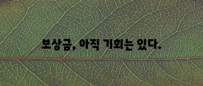 손실보상금 신청 지금 바로 하세요!