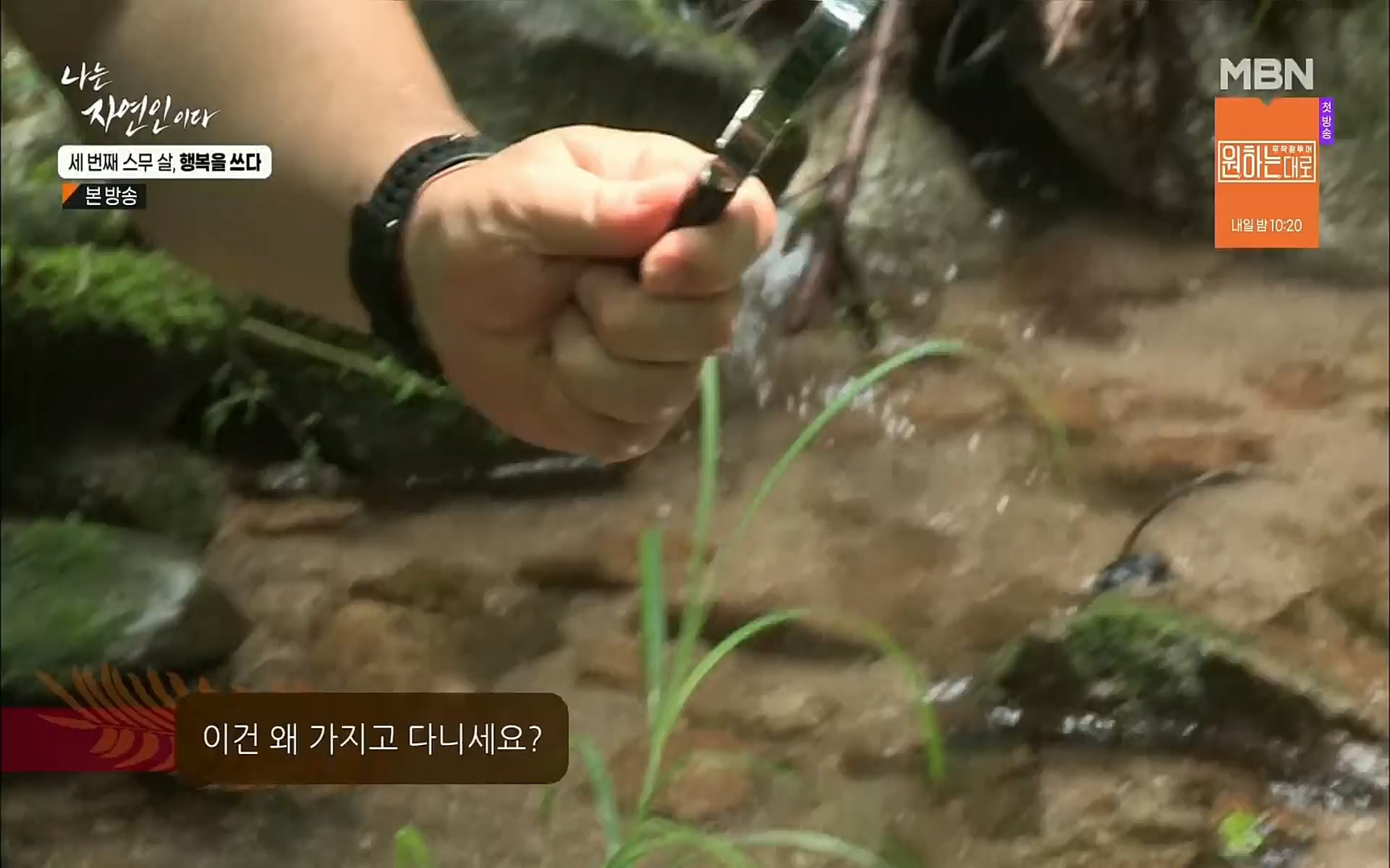 나는 자연인이다.E516.220824p.H264-F1RST.mp4_20220825_164133.048.jpg