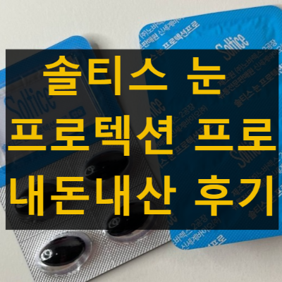 솔티스 눈 프로텍션 프로