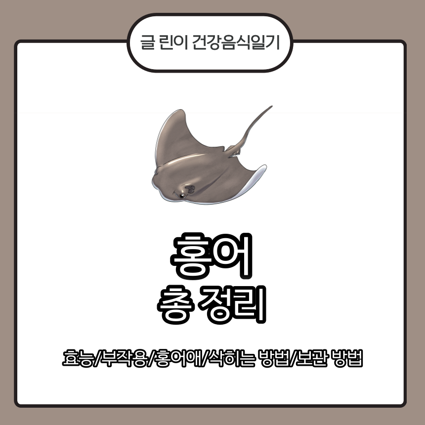  홍어 총 정리 효능/부작용/홍어애/삭히는 방법/보관 방법