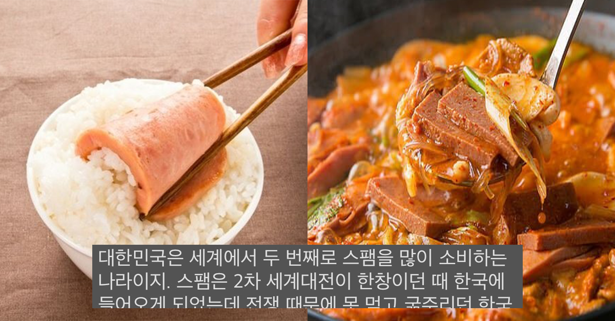  한국은 세계 2번째 스팸 소비국가 해외 반응
