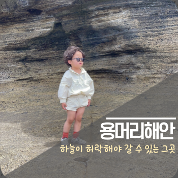  8번의 시도 끝에 용머리해안 입성!! 용머리 갈 수 있는 날 알기 꿀팁!