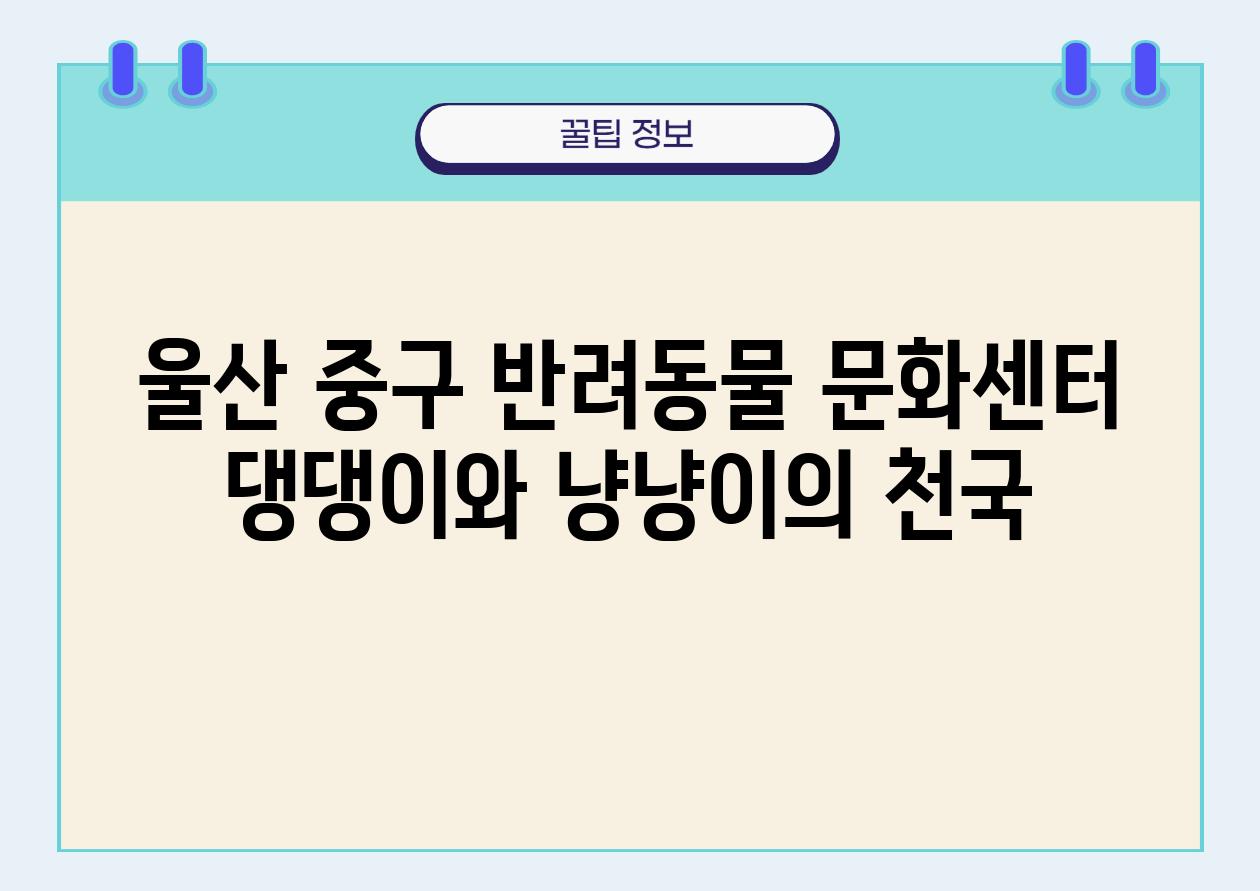 울산 중구 반려동물 문화센터 댕댕이와 냥냥이의 천국