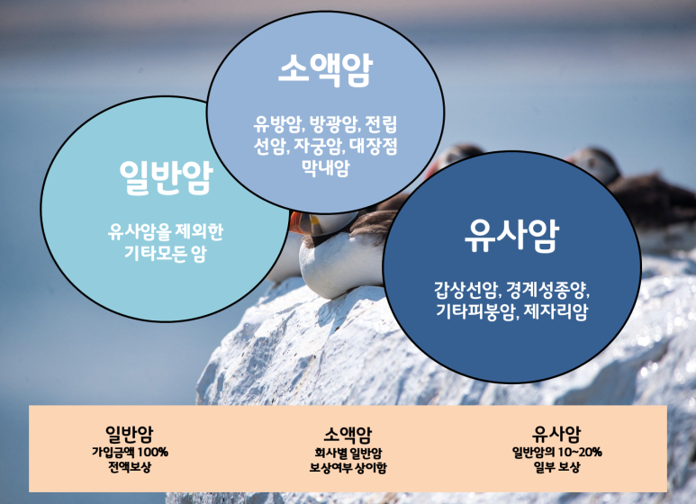 정확하게 알아볼까요? 3대질병보험 9