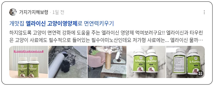 고양이 영양제 엘라이신_2_subsection