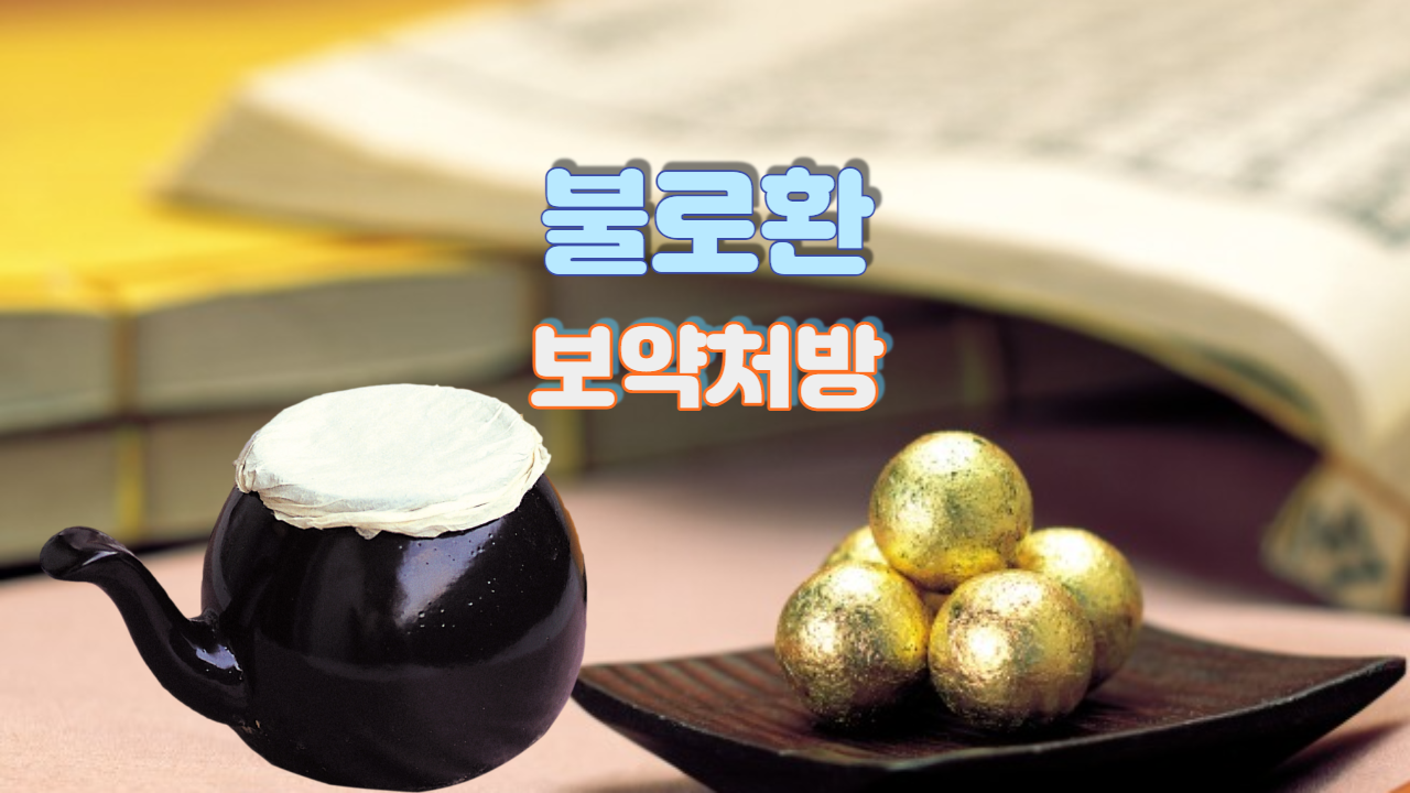  불로환 (보약처방)