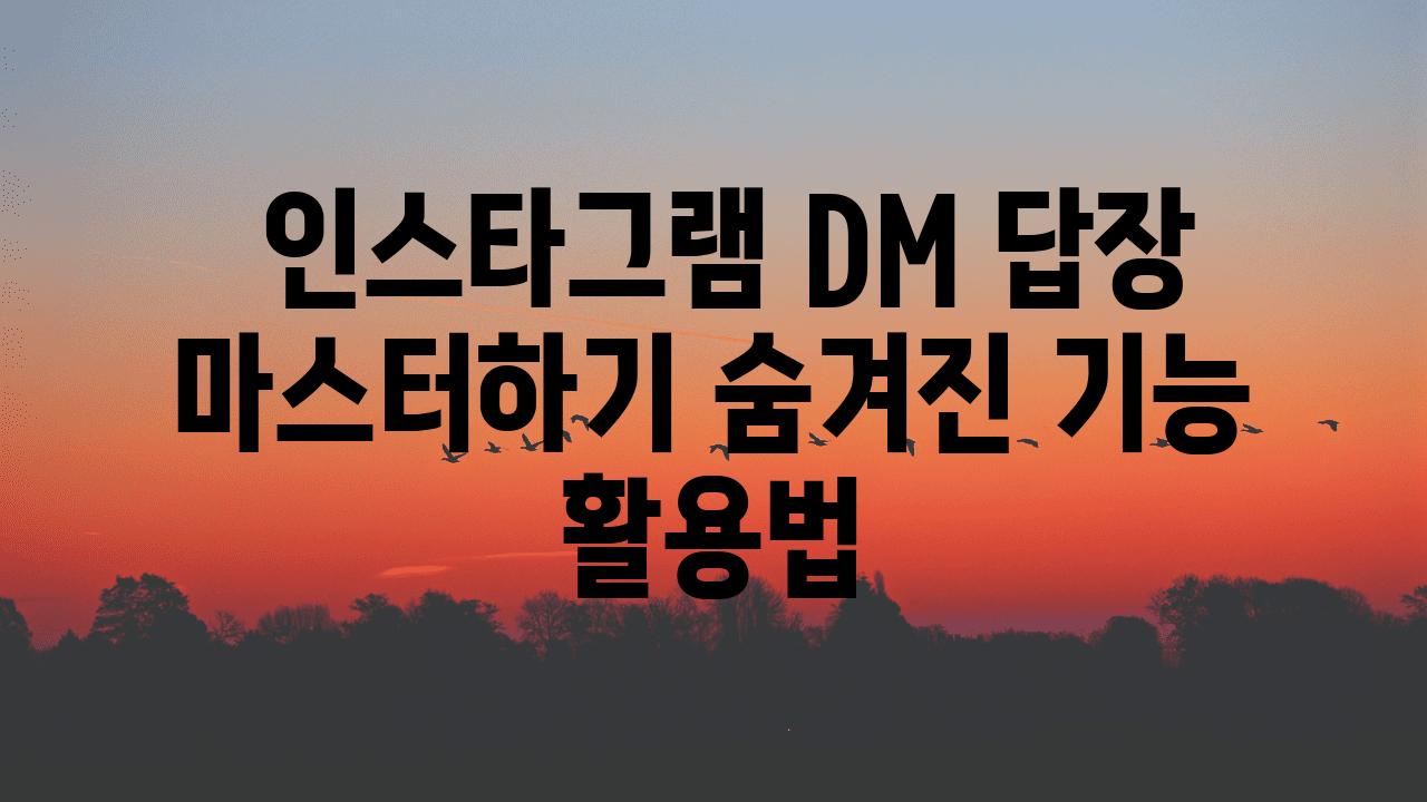  인스타그램 DM 답장 마스터하기 숨겨진 기능 활용법