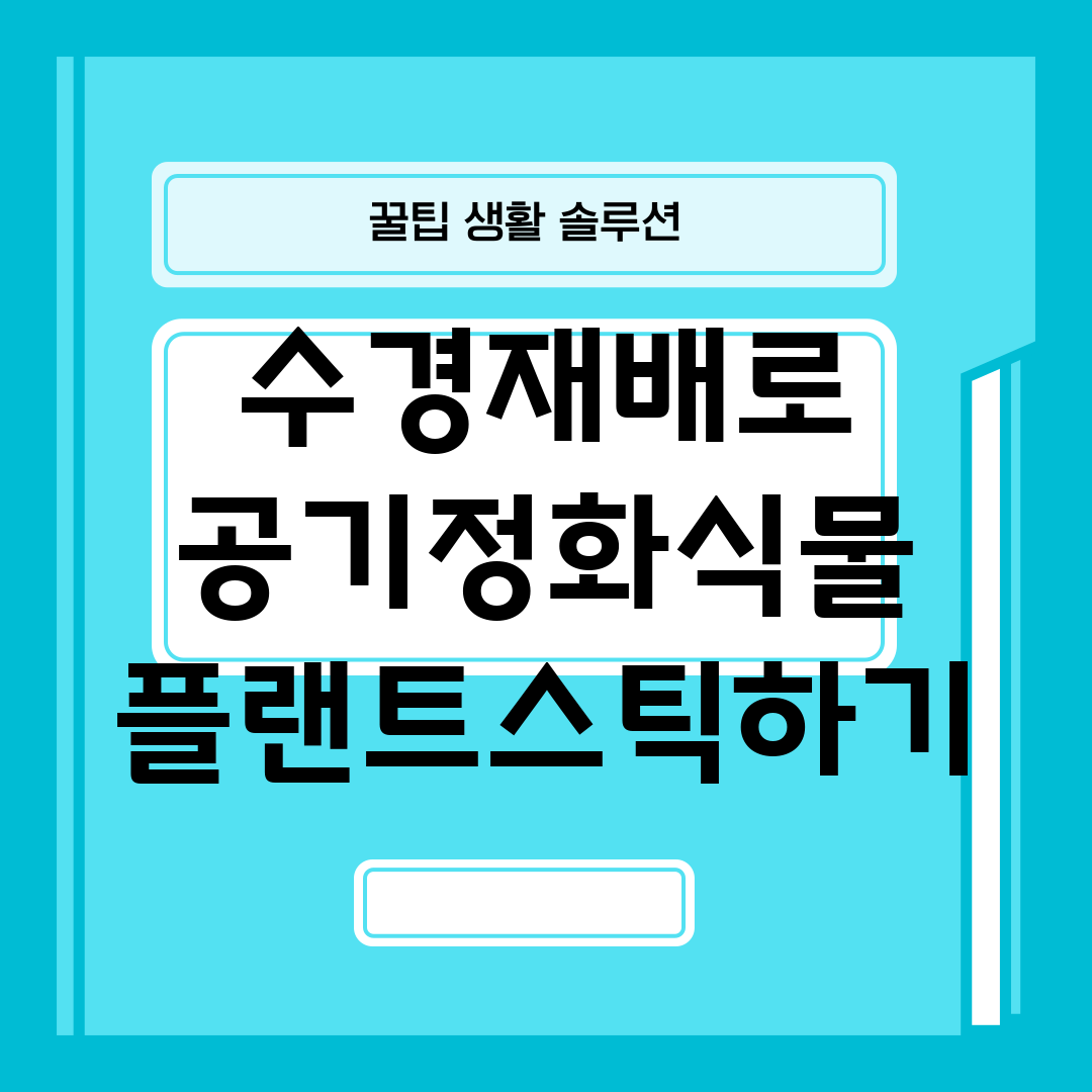 수경재배로 공기정화식물 플랜트스틱하기