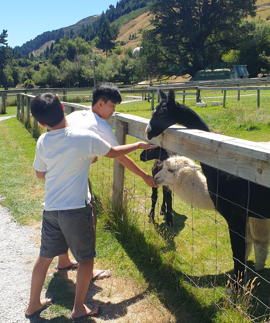 Glenorchy Animal Experience