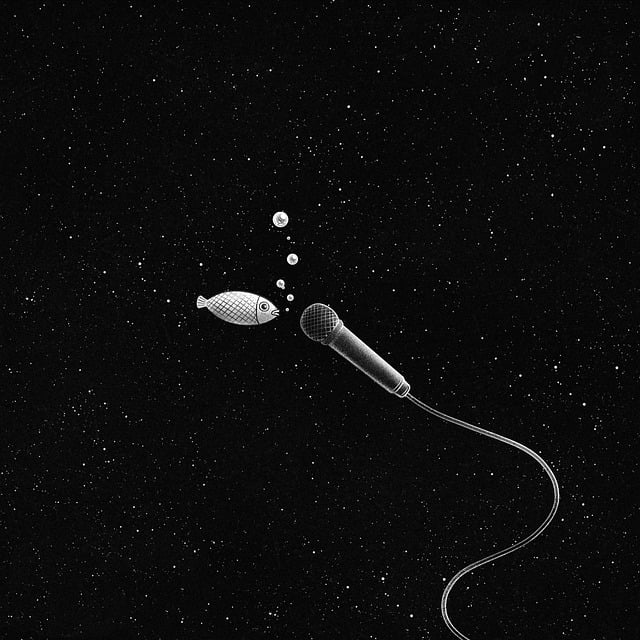 마이크와 오디오 인터페이스 알아보기