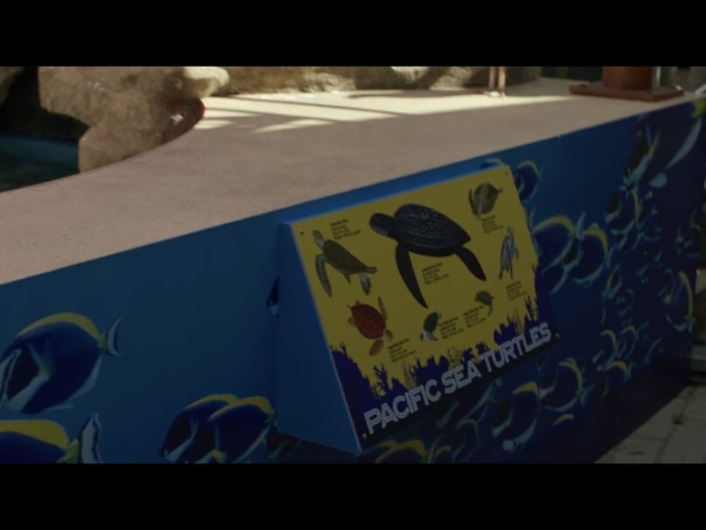 NCSIS LA 시즌 12 에피소드 18 리뷰 12