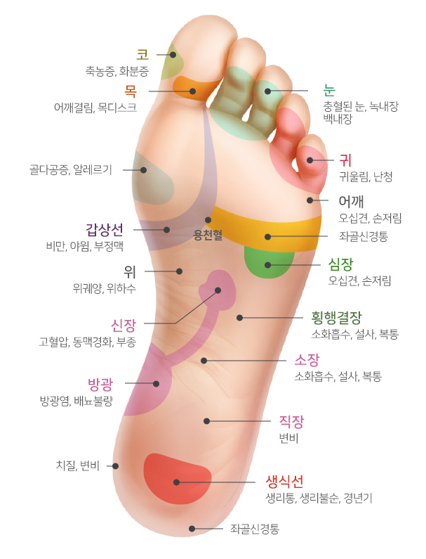  발바닥 지압
