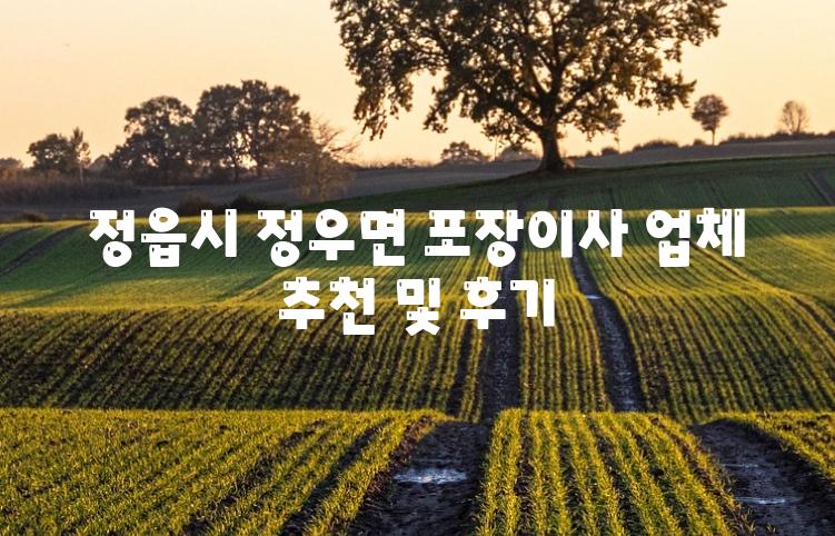 정읍시 정우면 포장이사 업체 추천 및 후기