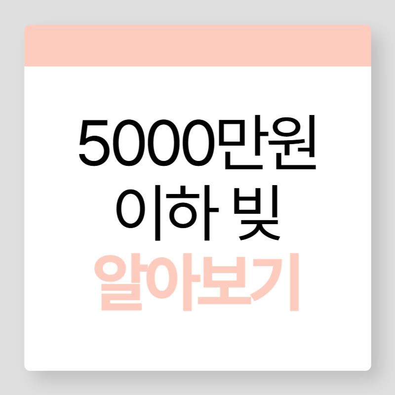 5000만원이하빚