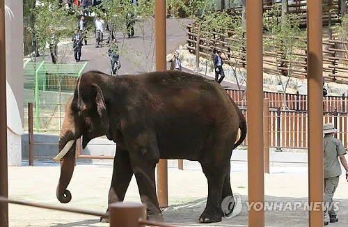 부산동물원 대형동물원 24개월 미만 무료 연중무휴 완벽 이용 가이드_4