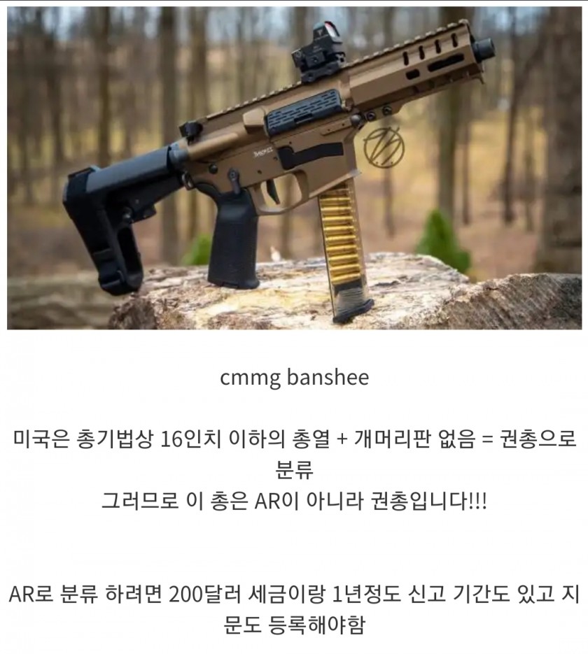  미국식 권총