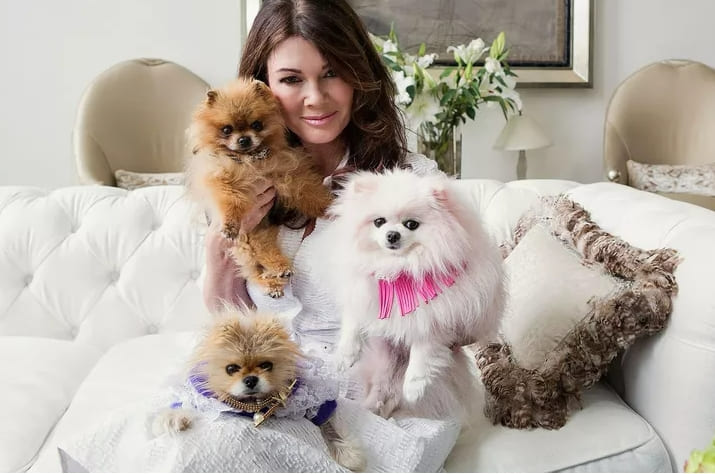 강아지집이 1천300만원?...천국에서 호화생활하는 반려동물들 VIDEO:THE MOST EXPENSIVE DOG HOUSES In The World
