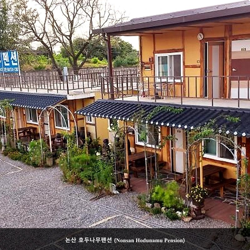 논산 호두나무펜션 (Nonsan Hodunamu Pension)_4