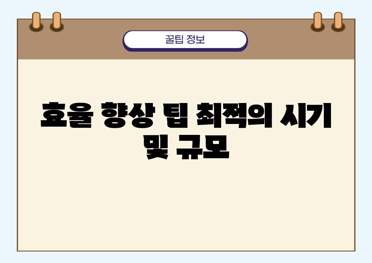 효율 향상 팁| 최적의 시기 및 규모