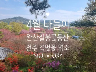 전주 완산칠봉 꽃동산 등산로 벙커 코스_21
