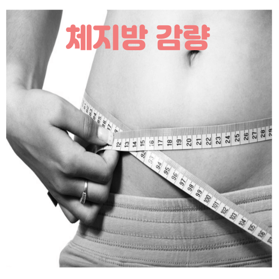 비엔알 이미지