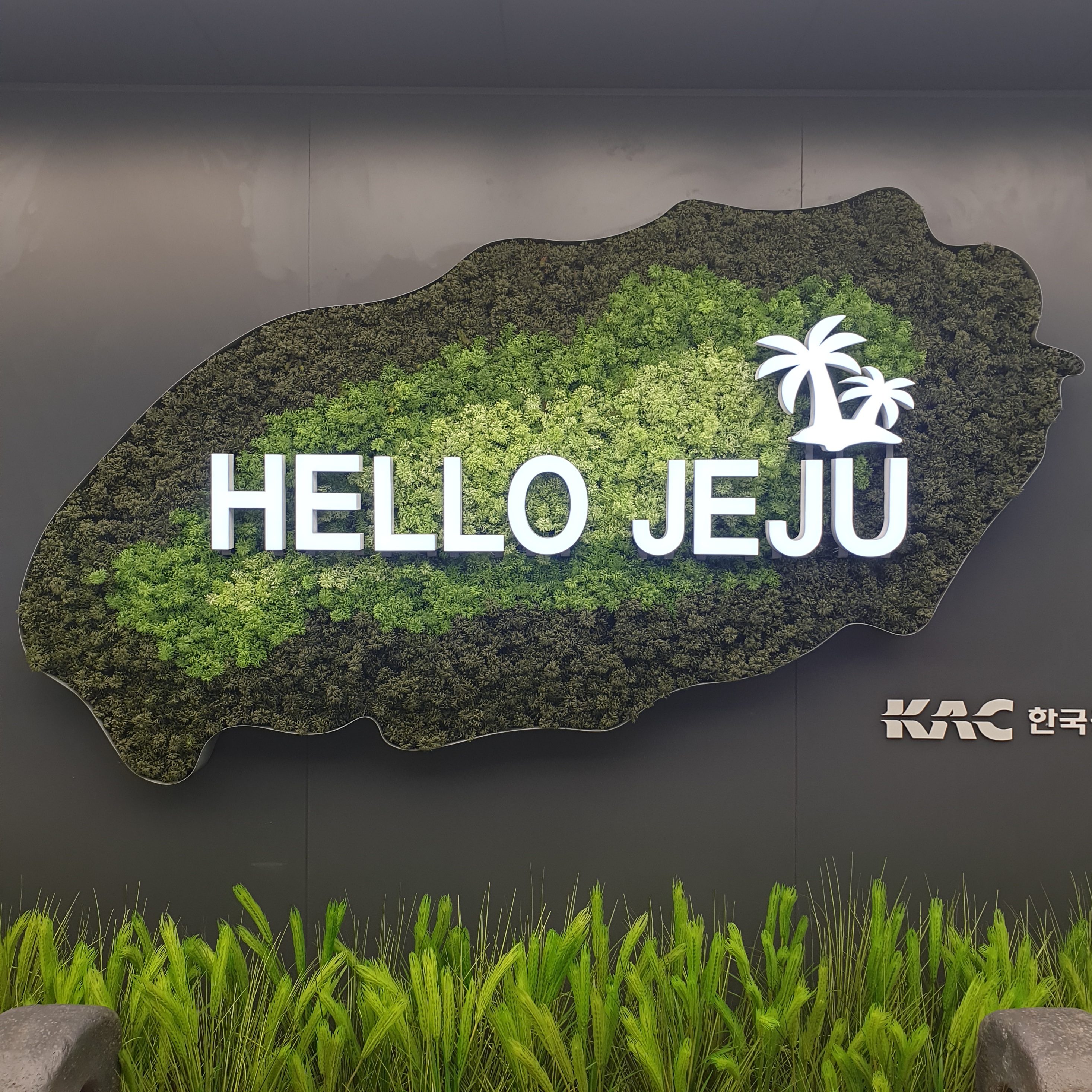  From. Jeju