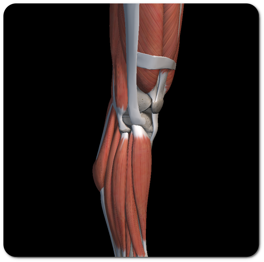 무릎 바깥쪽 통증 원인