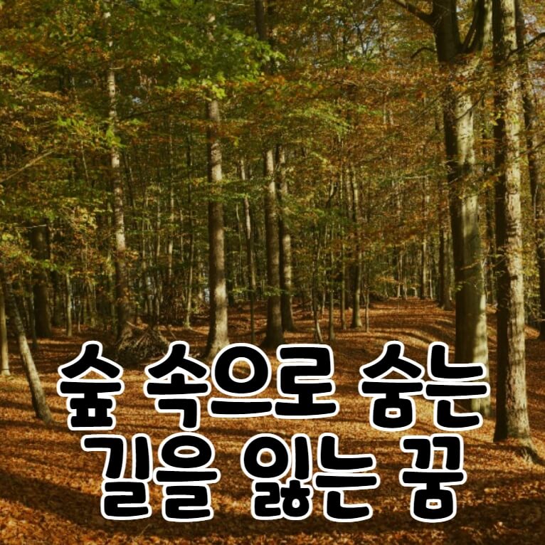 낙엽이 깔린 울창한 숲