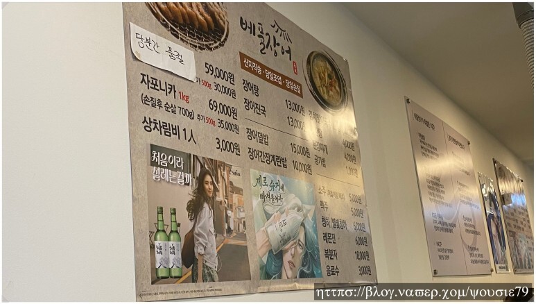 베풀장어 이미지