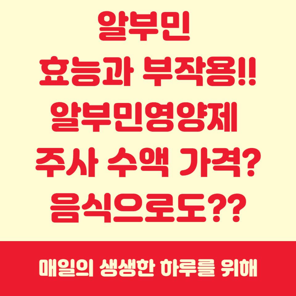 알부민효능