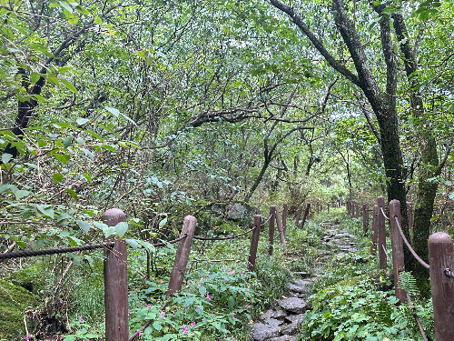 소백산 등산코스 