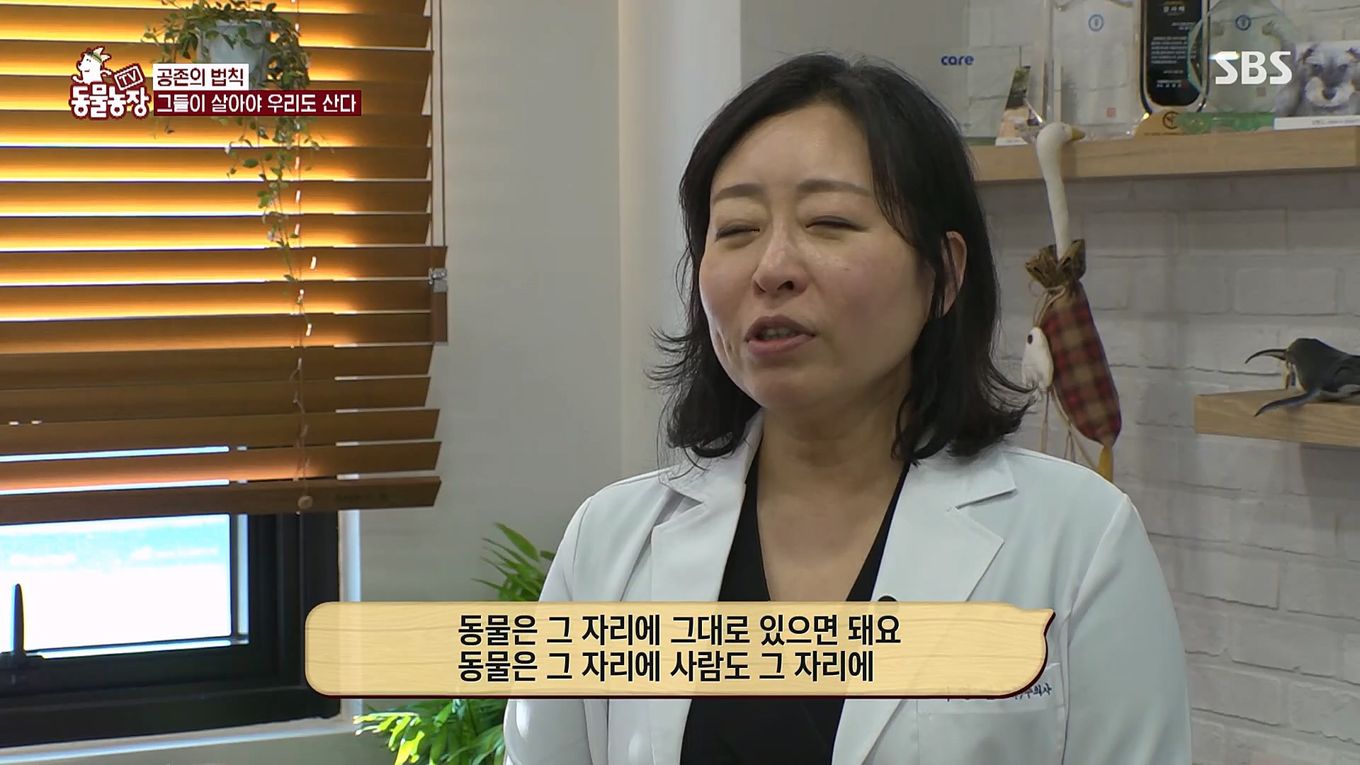 TV 동물농장.E1111.230312p.H264-F1RST.mp4_20230312_180009.397.jpg