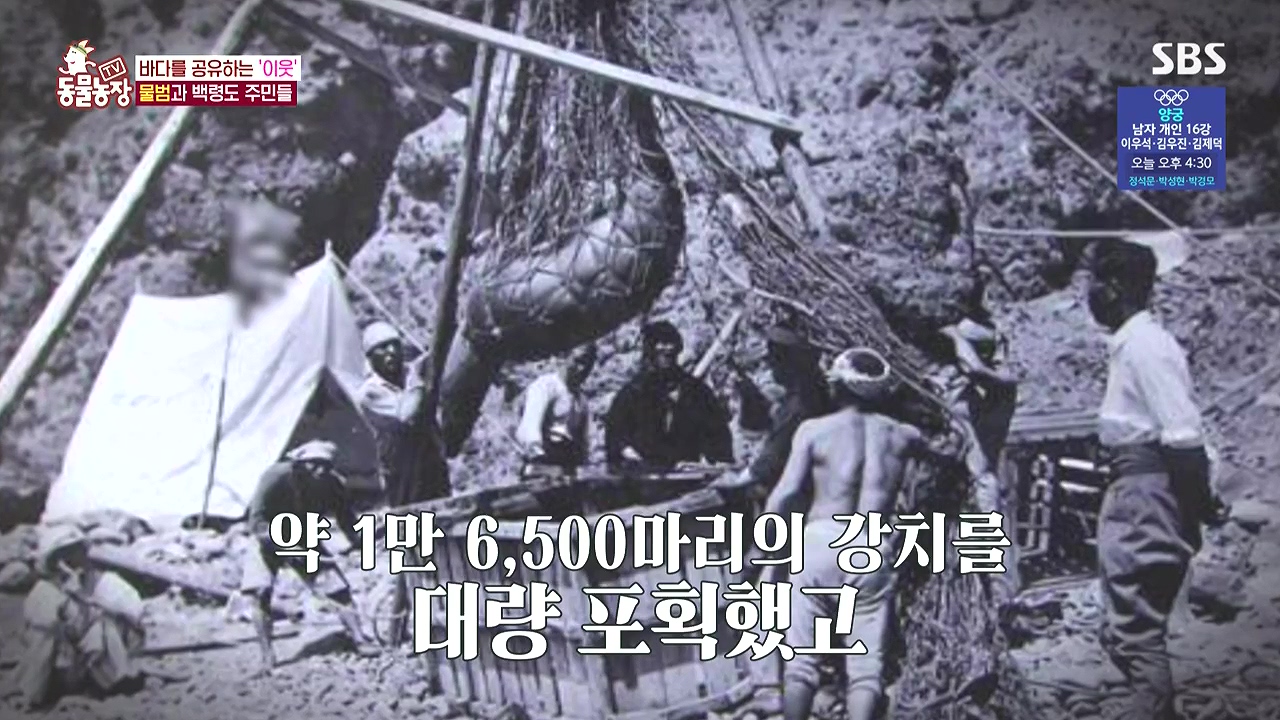 TV 동물농장.E1183.240805p-NEXT.mp4_20240804_154451.459.jpg