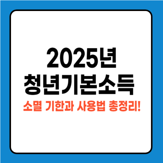 2025 청년기본소득 소멸 기한과 사용법 총정리